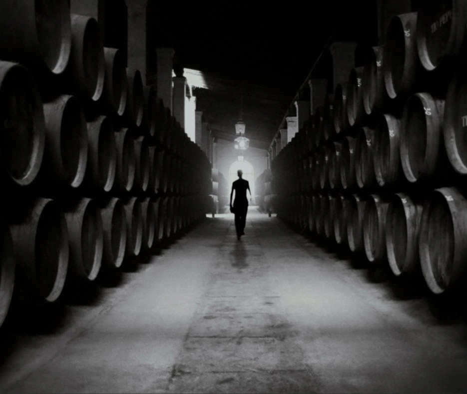 A person walking inside a winery in Rioja.